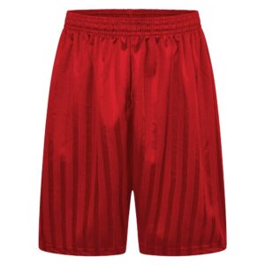 Maroon Shadow Stripe PE Shorts