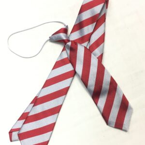 Priestmead School Tie